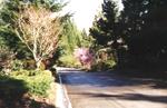 Sahalee Drive West