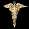 Medical Corps Symbol (sample)