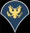 SP4 Army Patch