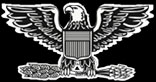 US Air Force Colonel Insignia
