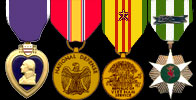 Purple Heart, National Defense Service Medal, Vietnam Service Medal w/star, Vietnam Campaign Medal