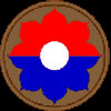 9th Infantry Division Patch