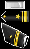Navy Lt j.g.