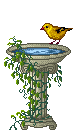 bird bath with bird