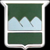 80th Trng Command  Combat