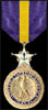 Distinguished Service Medal