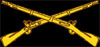 Infantry Insignia