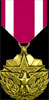 Meritorious Service Medal