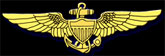 Navy Aviator's Wings