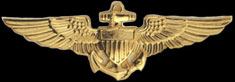 US Navy Aviator Wings