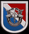 Special Forces Patch