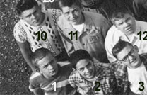 Numbered Section #1