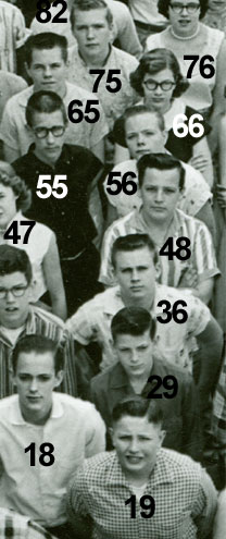 enlarged left side of photo with numbers