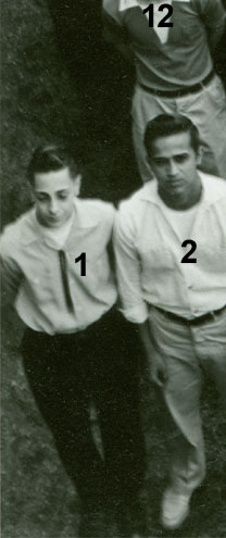 enlarged left side of photo with numbers